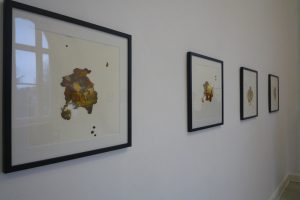 Beatrice Richter - Anja Warzecha - Ausstellung Freischwimmer - 7.12. bis 13.12.2014 - Künstlerhaus im Schlossgarten - Cuxhaven