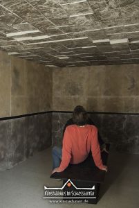 Silke Silkeborg und Suse Itzel - GUCKCUXNEST - Ausstellung vom 25.05.-01.06.2014 - Künstlerhaus im Schlossgarten in Cuxhaven